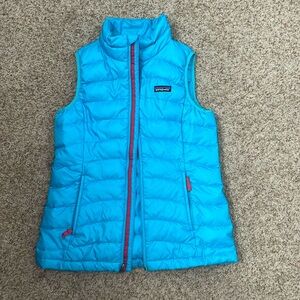 Patagonia blue vest